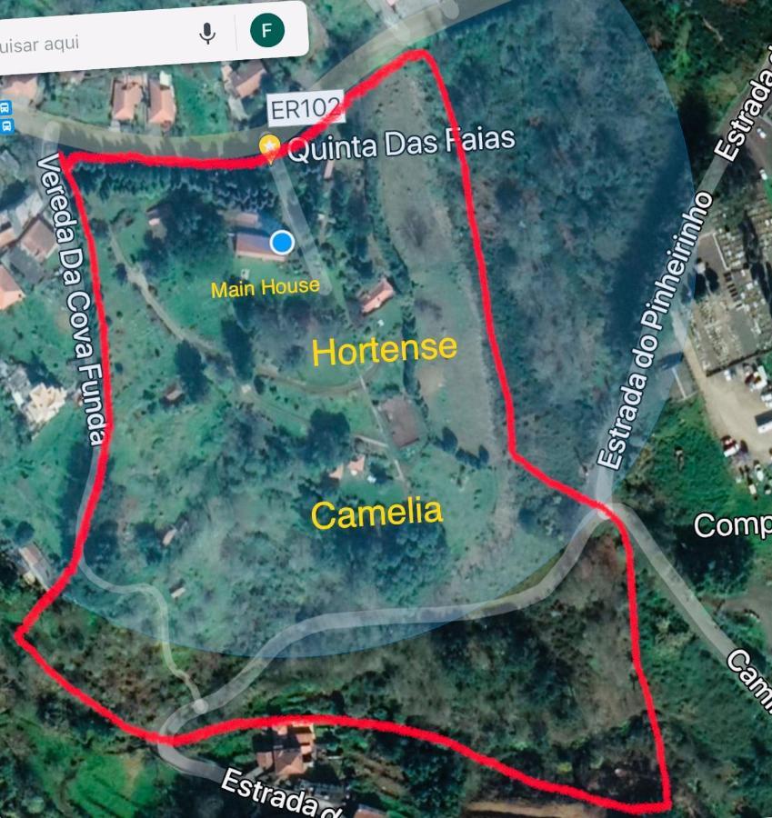 Quinta Das Faias Camacha  Zewnętrze zdjęcie