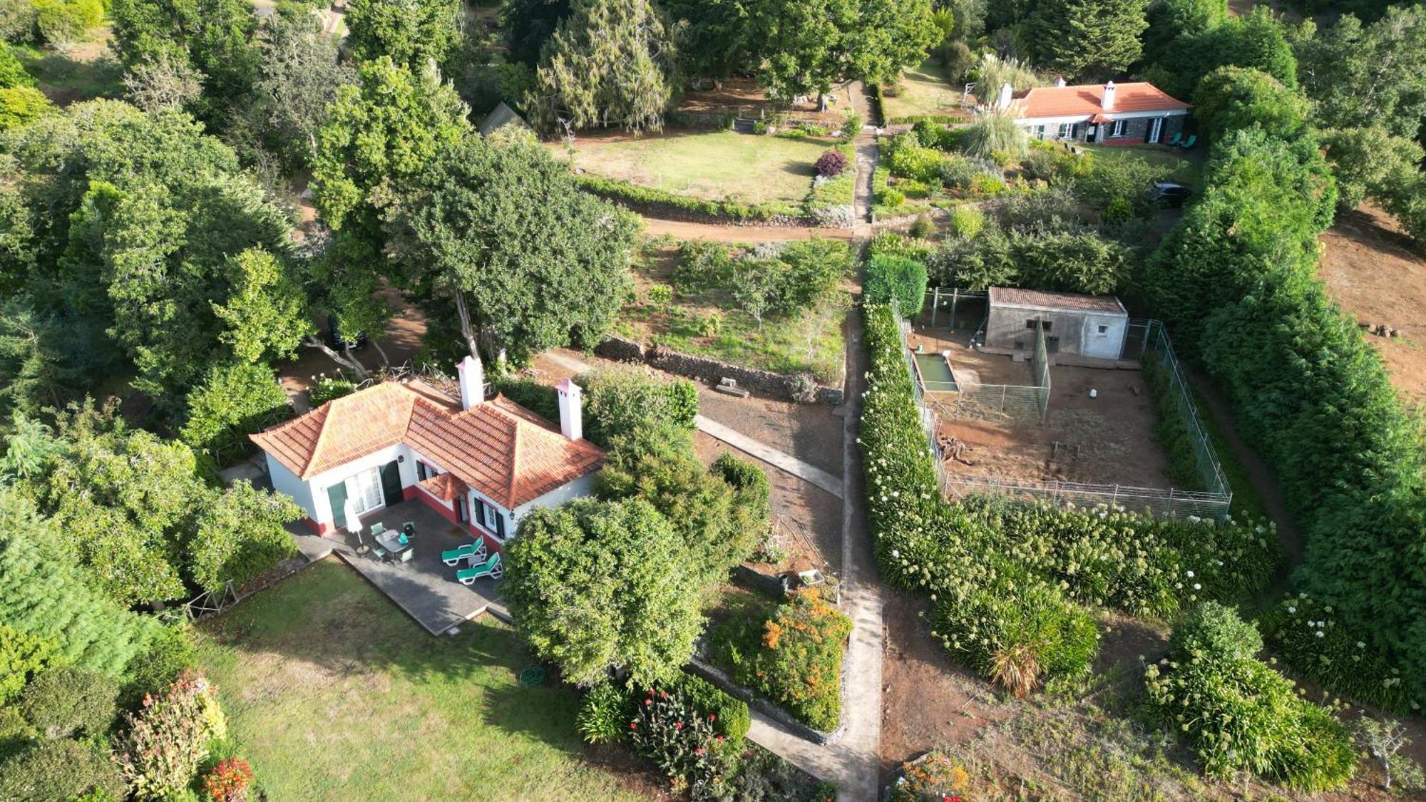 Quinta Das Faias Camacha  Pokój zdjęcie