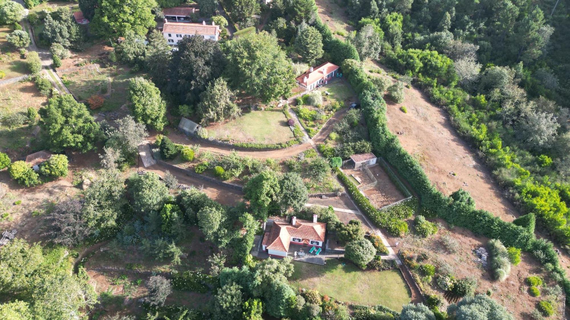 Quinta Das Faias Camacha  Zewnętrze zdjęcie