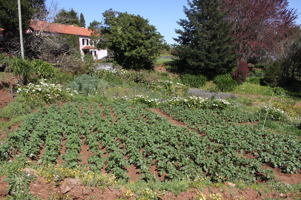 Quinta Das Faias Camacha  Zewnętrze zdjęcie