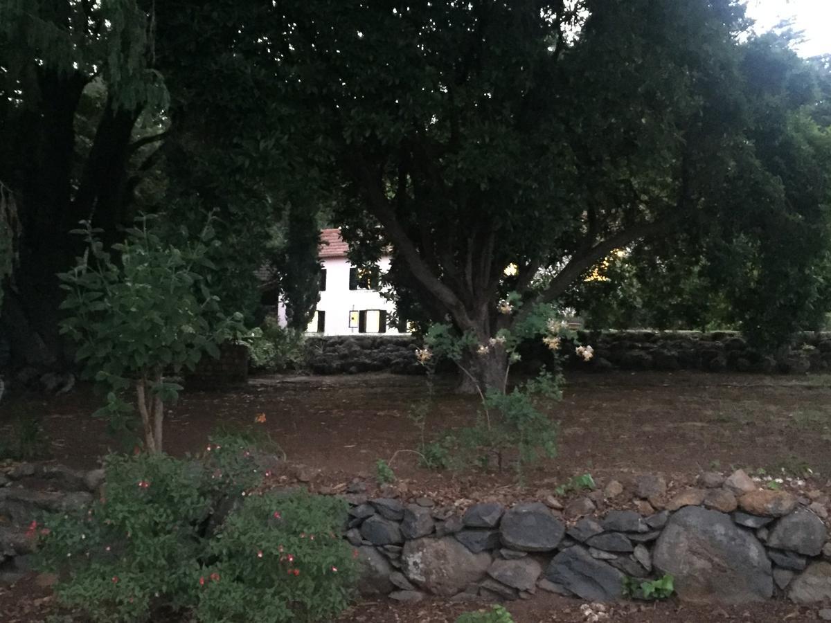 Quinta Das Faias Camacha  Zewnętrze zdjęcie
